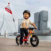 Load image into Gallery viewer, BERG Biky Go Kart
