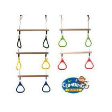 Load image into Gallery viewer, Miami Climbing Frame with Swings &amp; Spiral Slide
